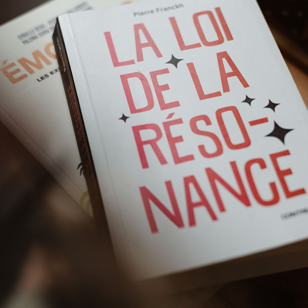 Livre La loi de la résonnance