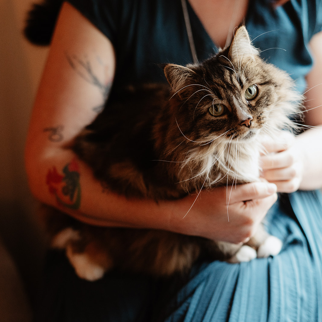 Photo de chat sur les genoux de sa maman
